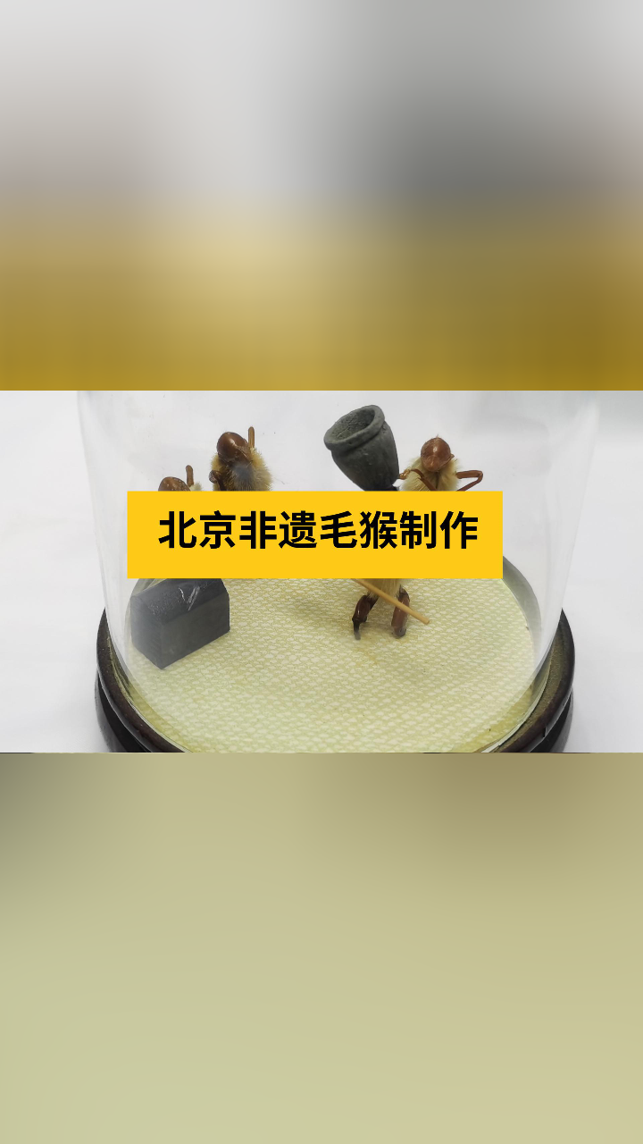 北京非遗毛猴制作