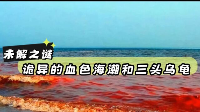 未解之谜:四川阿坝海子,莫名染“血”之谜