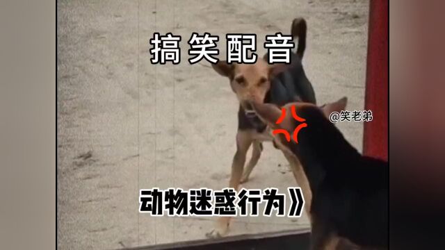 fq开心时间到nb