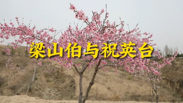 陕北原生态民歌《梁山伯与祝英台》演唱 孙毛燕