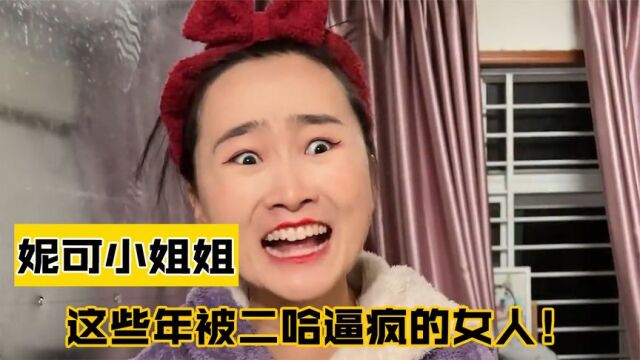 妮可小姐姐:全网最惨铲屎官,哈士猪把羊驼带沟里,拆家第一名!