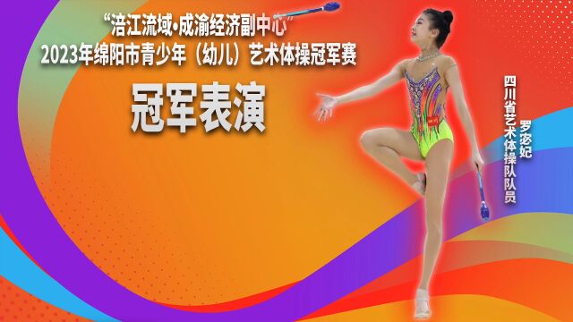 省队冠军队员表演艺术体操专业器械(棒)