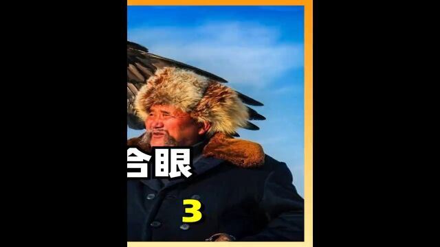 熬鹰到底有多狠?一人一鹰硬刚24小时不合眼,有人甚至因此猝死