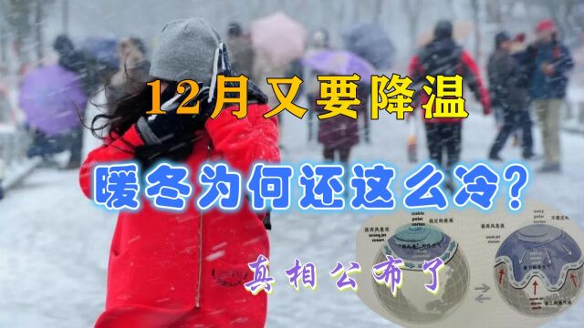 今年暖冬为何这么寒冷,厄尔尼诺无效?最新解释:西风急流被撞破