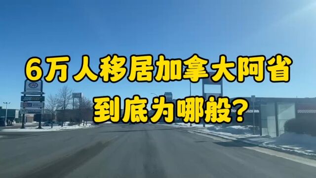 25 6万人移居加拿大阿省 这到底是为什么