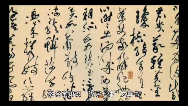 汉字之美,姓名学老师丁吉虎讲汉字七体之草书