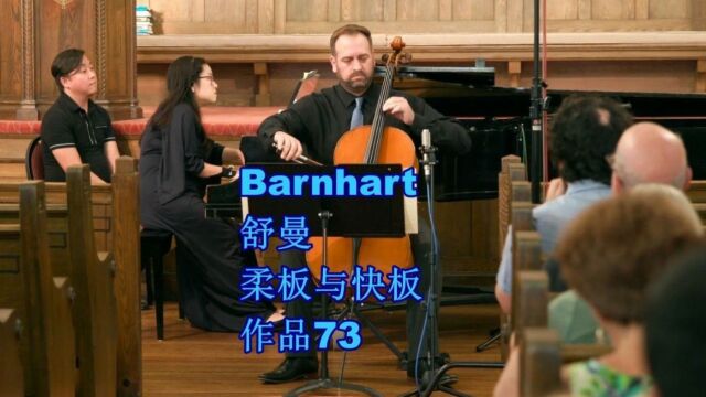 Andy Barnhart 大提琴 舒曼 柔板与快板 作品73