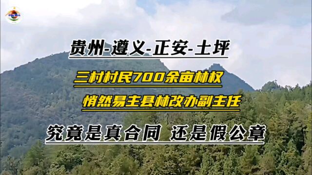 正安县土坪镇“大山”,700多亩林权莫名易主,公章合同真假成谜?