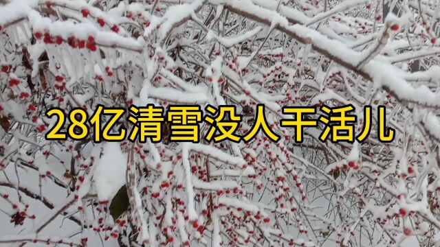 辽宁本溪28亿清雪外包第三方单位,清雪不利,门前三包单位被罚