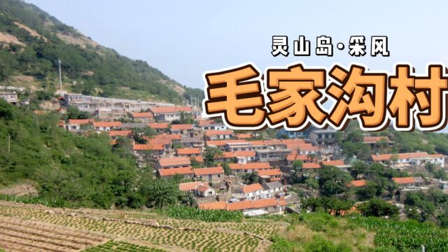 灵山岛毛家沟采风