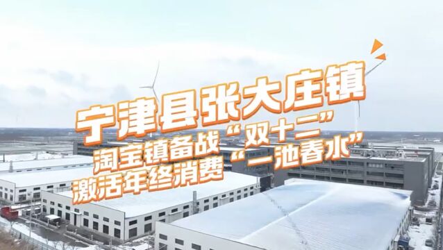 激活年终消费“一池春水”:德州市首个淘宝镇乘势而上打好2023收官战