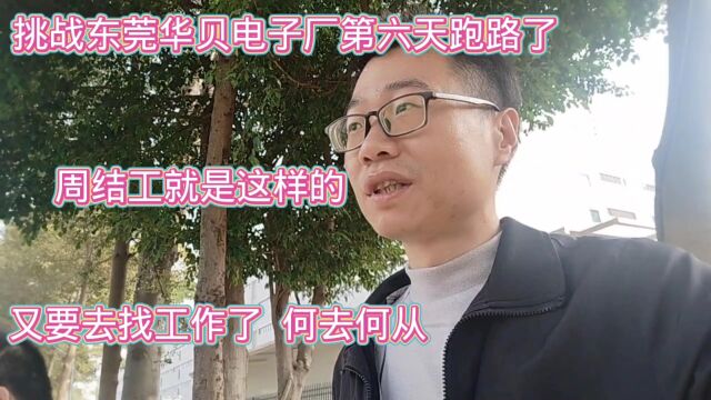 挑战华贝电子厂第六天跑路了!周结工就这样又要找工作,何去何从