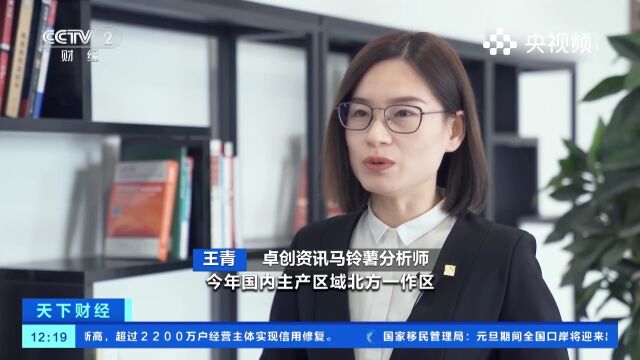 山东肥城:马铃薯价格下跌