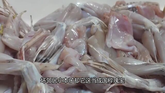 骨泳料理有多变态,刺身牛蛙残忍至极,日本人不怕感染寄生虫吗?