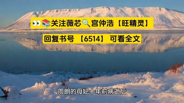 大周:第一满级世子爷《周朗》全文无删减TXT阅读○分享版