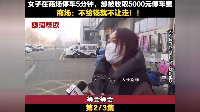 女子在商场停车5分钟,却被收取5000元停车费,商场:不给钱不让走! 2