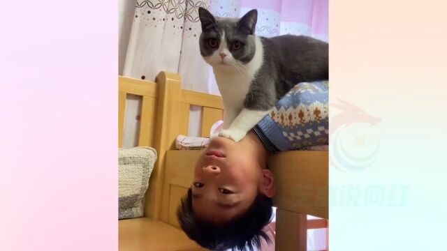 网友:莫非是狐狸精转世#奶油泡芙不能吃的 #猫和孩子 #猫精 #