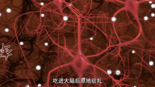 致死率高达97%的食脑虫,那么它是如何啃食大脑的