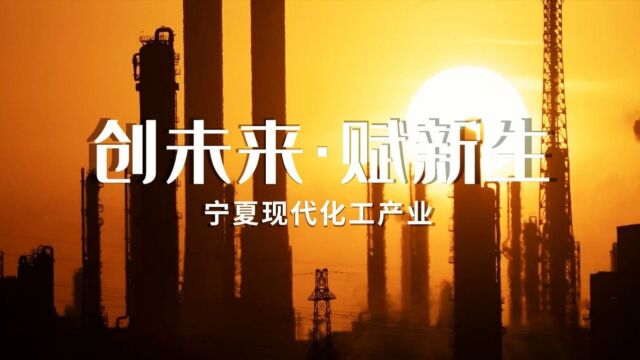 #宁夏新特优 ——宁夏现代化工产业:创未来ⷨ𕋦–𐧔Ÿ