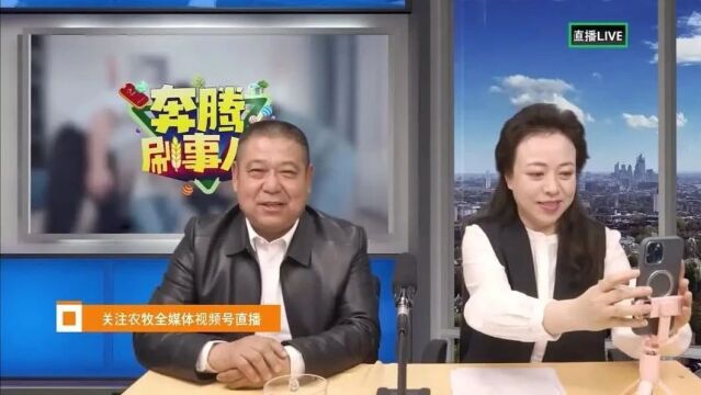 包头市东河区:盘活“土特产” 走出致富路