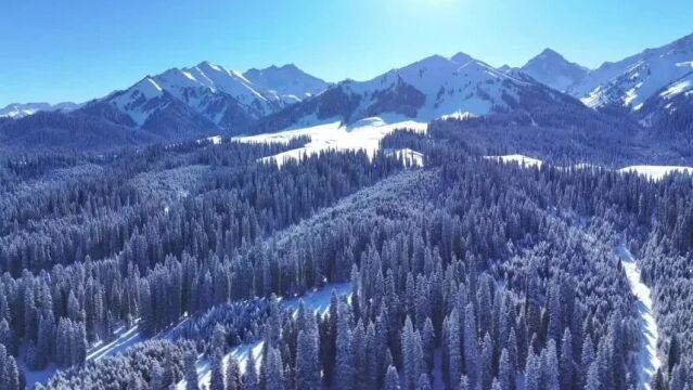 长图丨滑雪安全注意事项 您一定要知道!【附 巩留新闻】