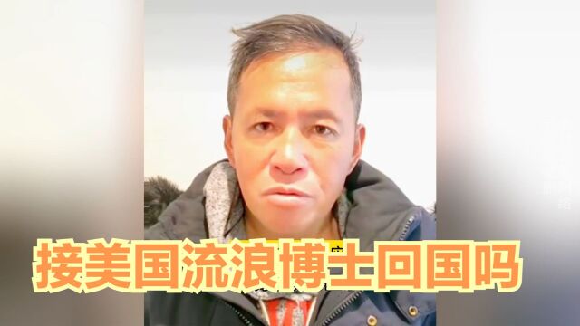 网络热议接美国流浪博士回国吗