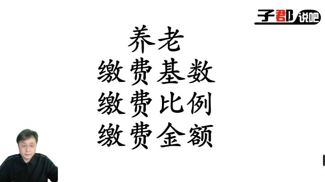 养老缴费基数、比例、金额