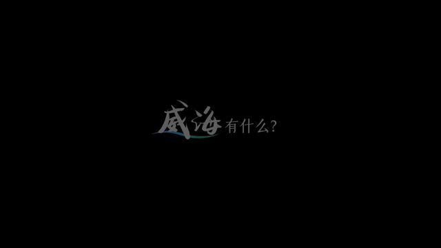 城市宣传片《有种精致叫威海》重磅发布