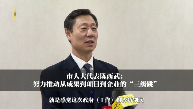 市人大代表陈西武: 努力推动从成果到项目到企业的“三级跳”