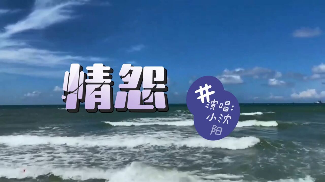 《情怨》小沈阳倾情演唱具有民族韵味的歌曲