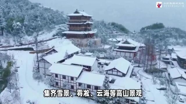 重庆文旅积极创新思路,引导旅游业健康可持续发展,为经济社会发展注入新活力