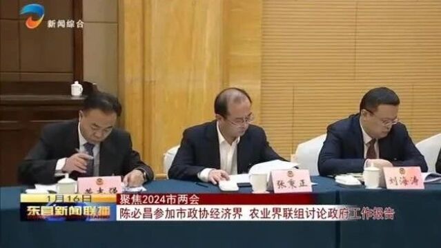 陈必昌参加市政协经济界 农业界联组讨论政府工作报告