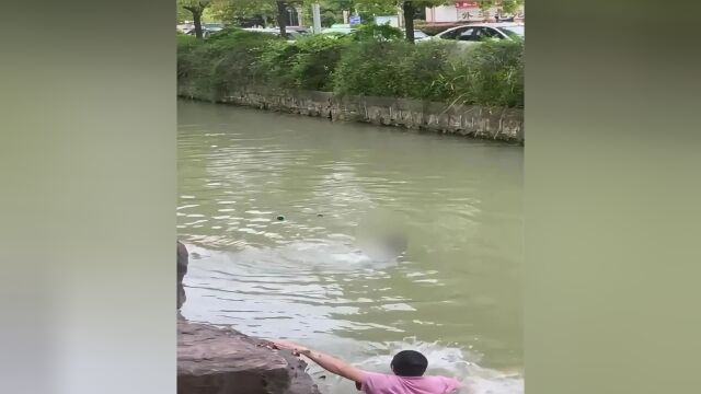 男孩意外落水,烧烤摊主挺身救人!