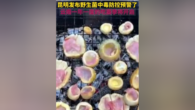 昆明发布野生菌中毒防控预警了,云南一年一度的吃菌季将开启