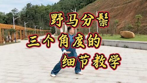 太极拳经典动作野马分鬃,从三个不同的角度,为您详细教学#太极拳