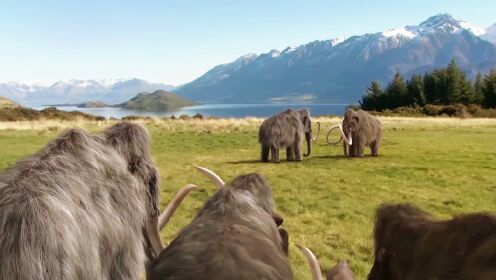 猛犸象之间的争斗_38_高光片段