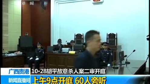 1028胡平故意杀人案二审开庭