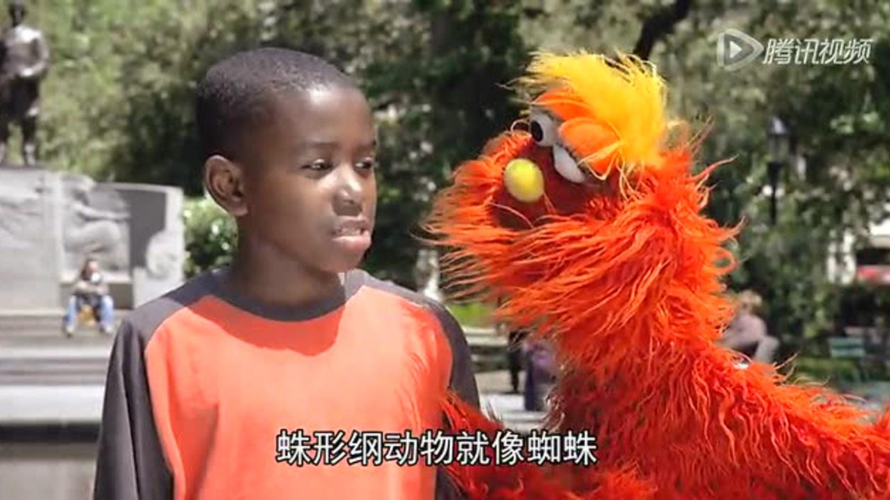 芝麻街国际版第41季 13集