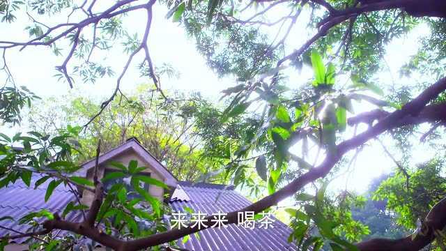 因为爱情有幸福 65集