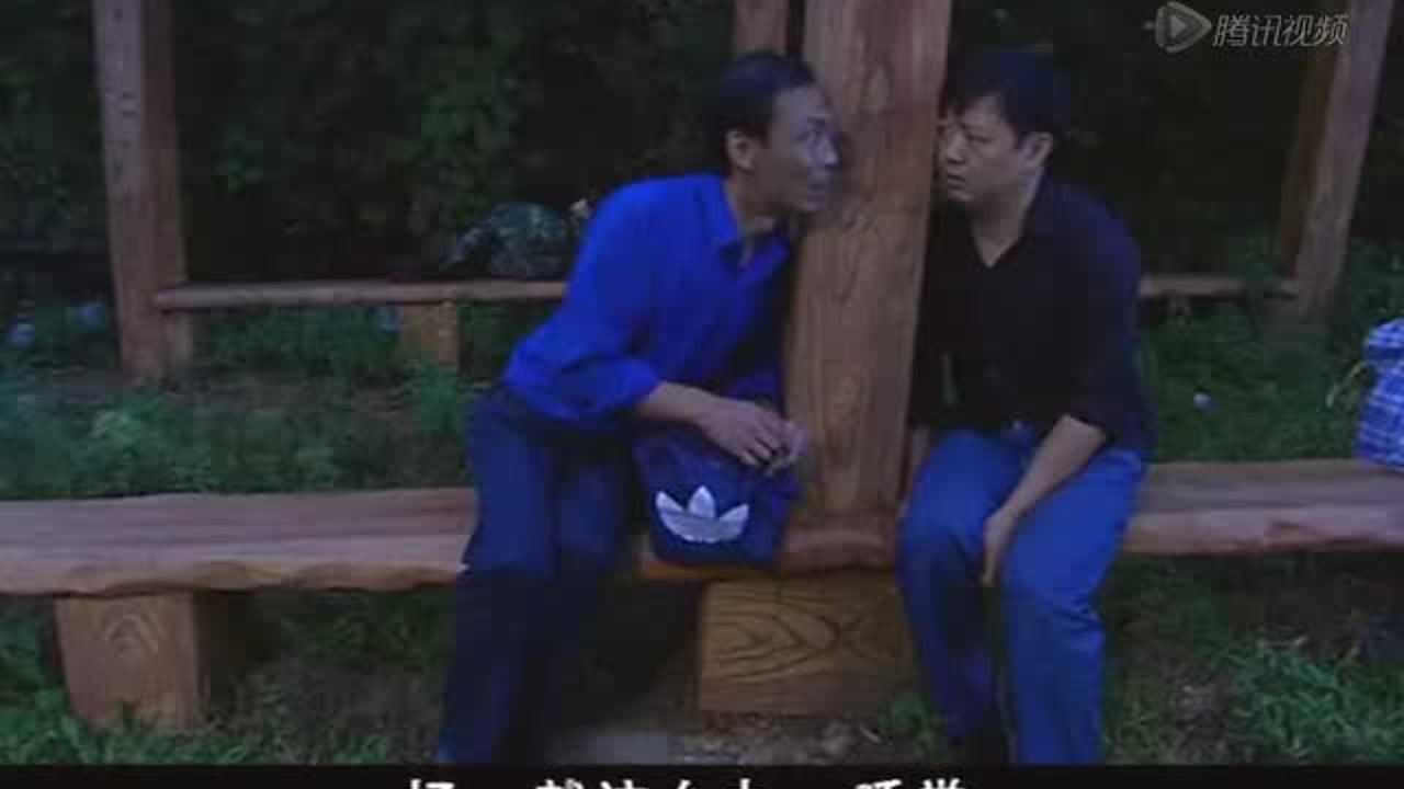 柳树屯 6集