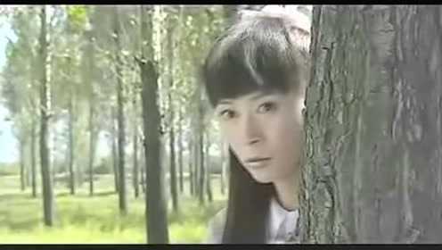新虎口脱险 9集