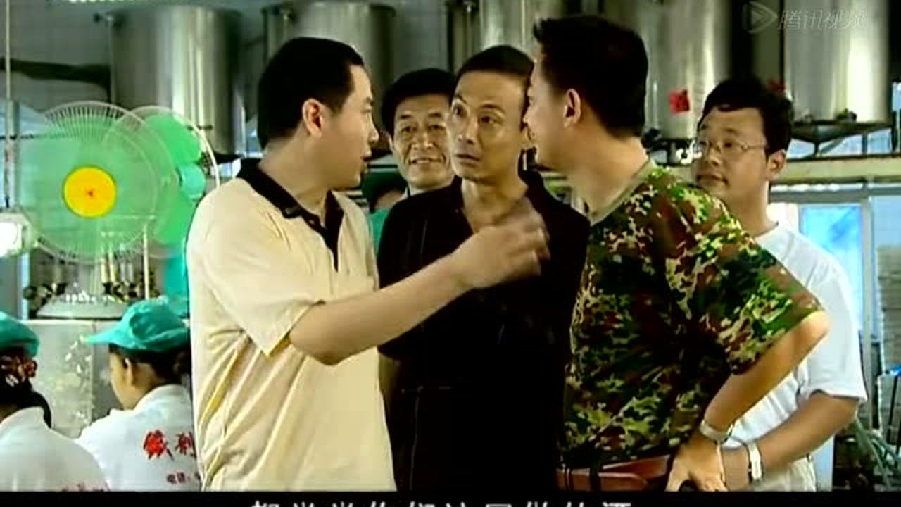 柳树屯 14集