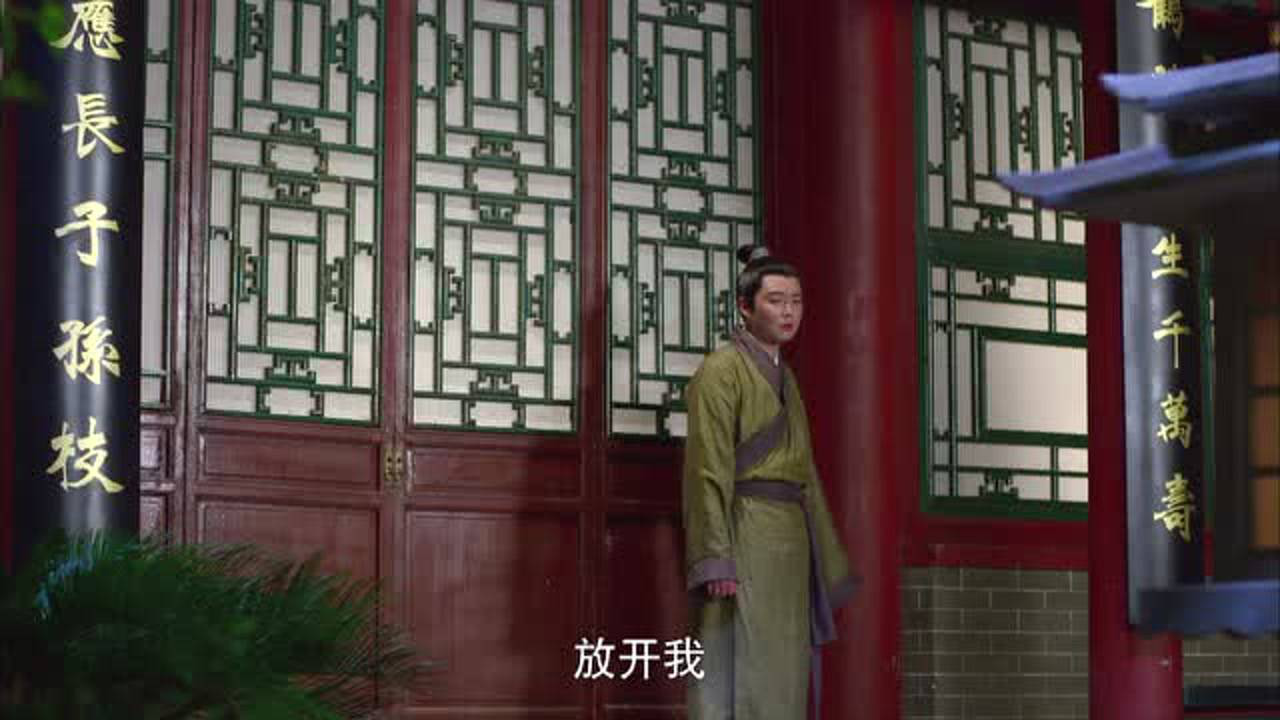吉祥天宝 38集