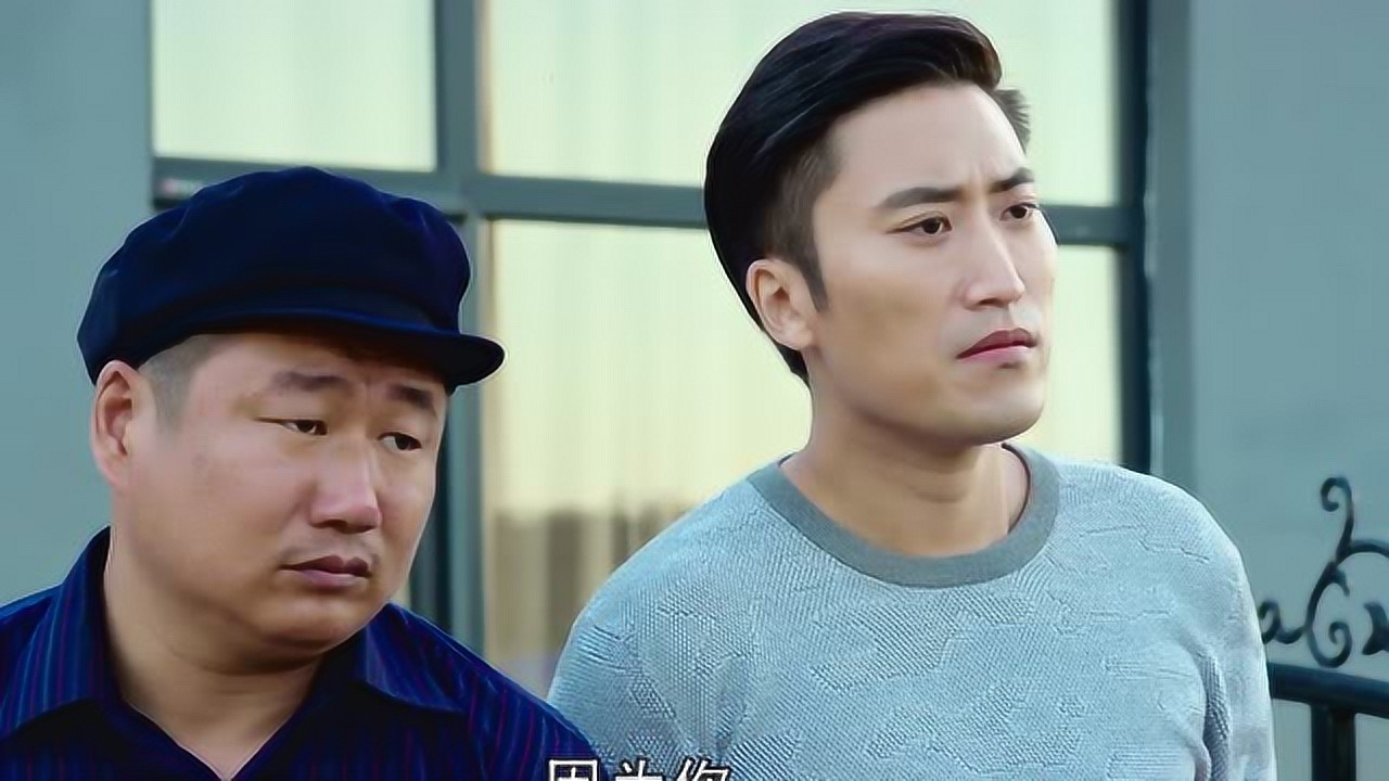 乡村爱情9（上） 30集