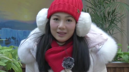 冰雪的游戏