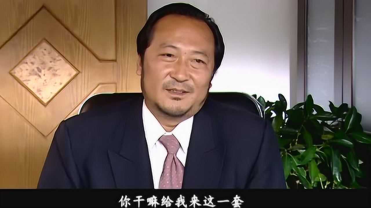 非法途径 29集