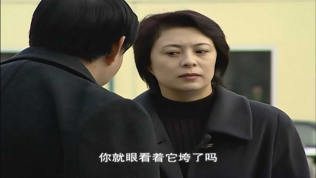 阳光职业介绍所 15集