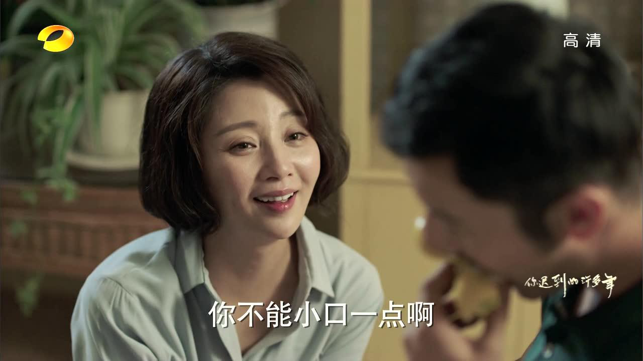 你迟到的许多年 14集