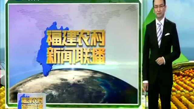 龙岩新罗 教育帮扶精准发力 扶贫助学拔“穷根”