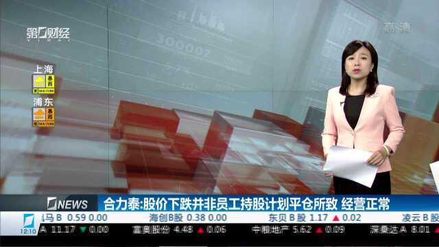 合力泰:股价下跌并非员工持股计划平仓所致 经营正常